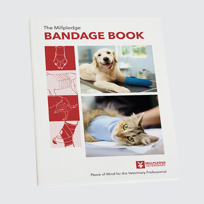 New Bandage Book2