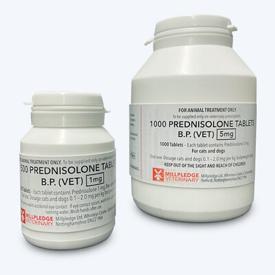 Prednisolone WEB